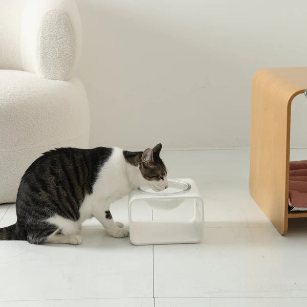 Moon Light Cat Water Bowl