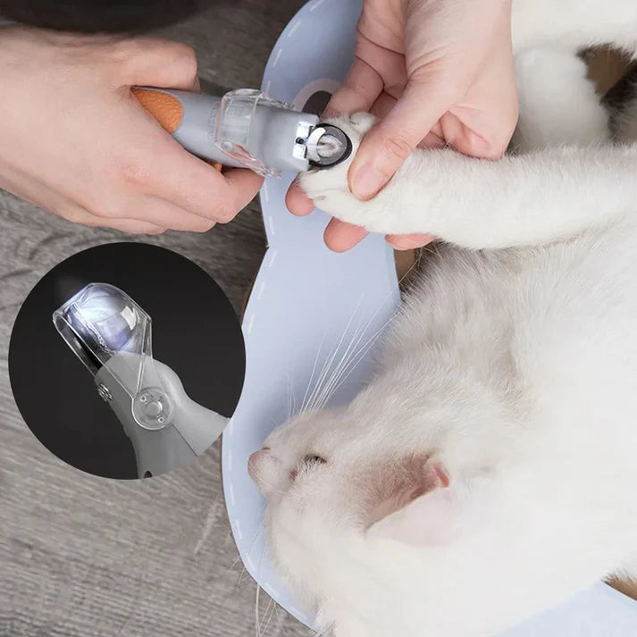Professional Pet Nail Clipper Scissors with LED Light Cat Dog Nail Clippers Tool Scissors Nail Toeclaw Cutter