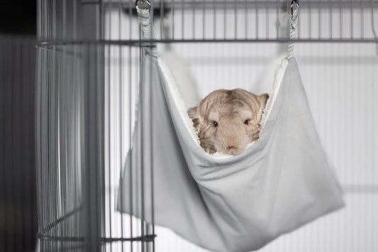 Pet Products Replacement Hammock for Cat Cages