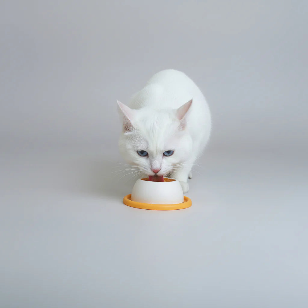 Lick Slow Feed Toy