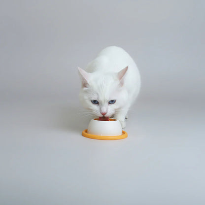 Lick Slow Feed Toy
