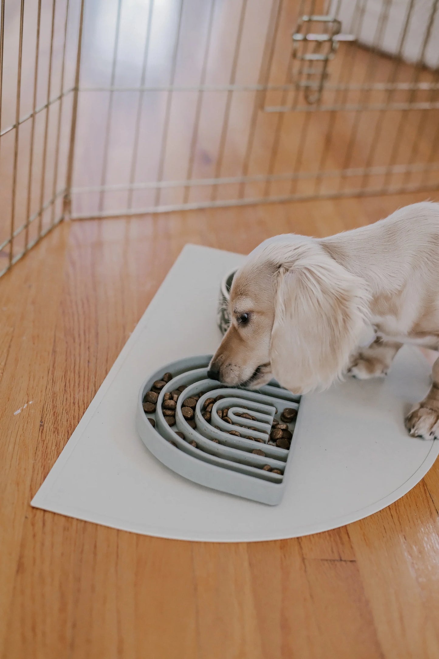 Lick Mat