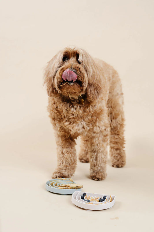Lick Mat