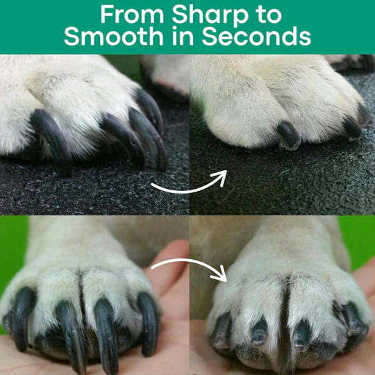 LED Pet Nail Clipper for Dogs & Cats, Safe Claw Grooming Tool