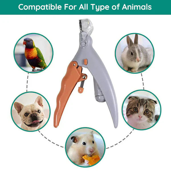 LED Dog Nail Clipper – Safe Trim With Better Visibility